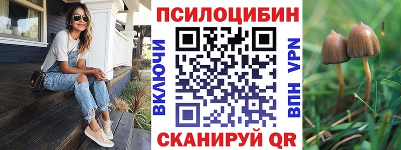 Псилоцибиновые грибы MAGIC MUSHROOMS  Купить закладки  Лахденпохья 